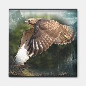 In de hemelmagneet magneet (Voorkant)