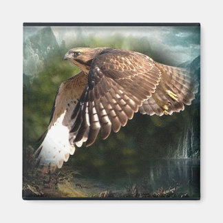 In de hemelmagneet magneet