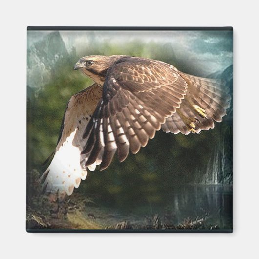 In de hemelmagneet magneet (Voorkant)