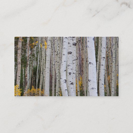 In de herfst van de Aspen Visitekaartje (Achterkant)