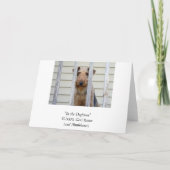 In de Kaart van het Hondehok (Achterkant)