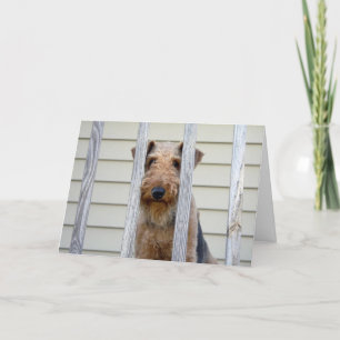 In de Kaart van het Hondehok