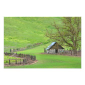 In de knol. foto afdruk (Voorkant)