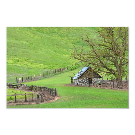 In de knol. foto afdruk (Voorkant)