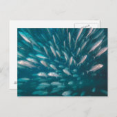 In de krikken briefkaart (Voorkant / Achterkant)