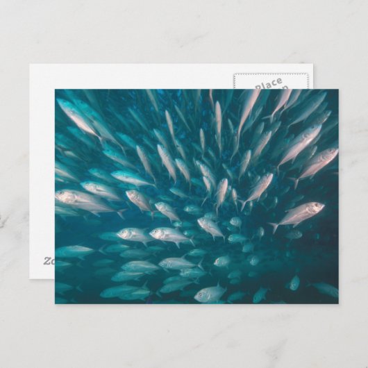 In de krikken briefkaart (Voorkant / Achterkant)