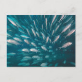 In de krikken briefkaart (Voorkant)