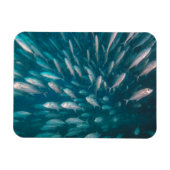 In de krikken magneet (Horizontaal)