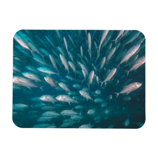 In de krikken magneet (Horizontaal)