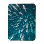 In de krikken magneet (Verticaal)