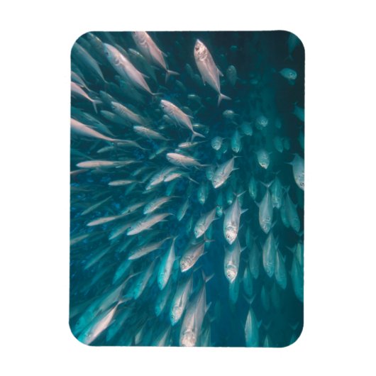 In de krikken magneet (Verticaal)