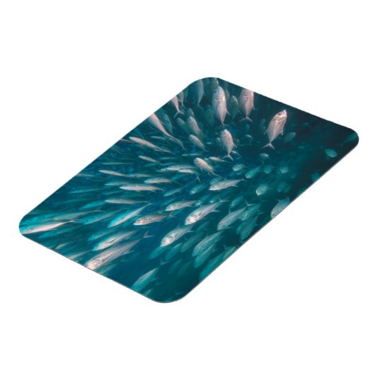 In de krikken magneet (Linkerzijde)