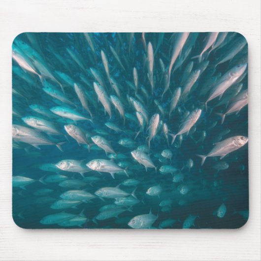 In de krikken muismat (Voorkant)