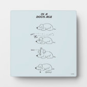 In de leeftijd van een hond fotoplaat (Voorkant)