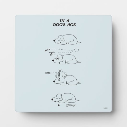 In de leeftijd van een hond fotoplaat (Voorkant)