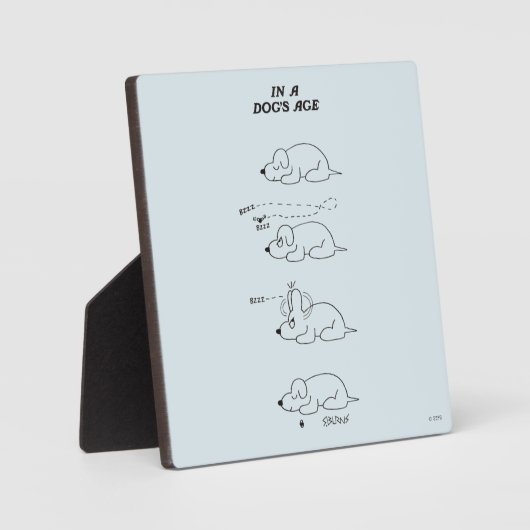 In de leeftijd van een hond fotoplaat (Voorkant)