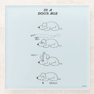 In de leeftijd van een hond glazen onderzetter