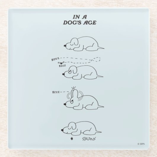 In de leeftijd van een hond glazen onderzetter (Voorkant)