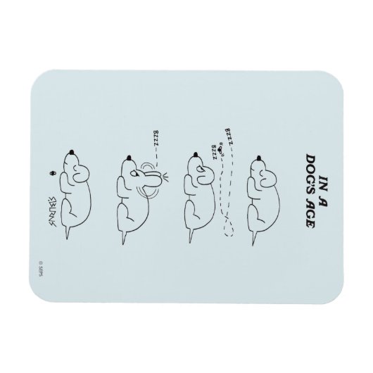 In de leeftijd van een hond magneet (Horizontaal)