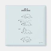 In de leeftijd van een hond magneet (Voorkant)