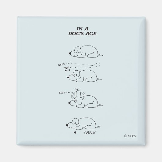 In de leeftijd van een hond magneet (Voorkant)