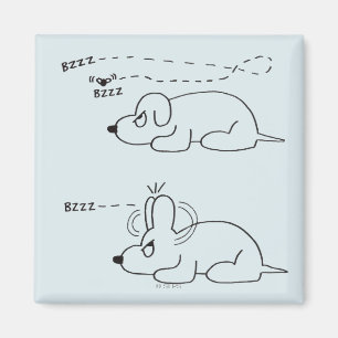 In de leeftijd van een hond magneet