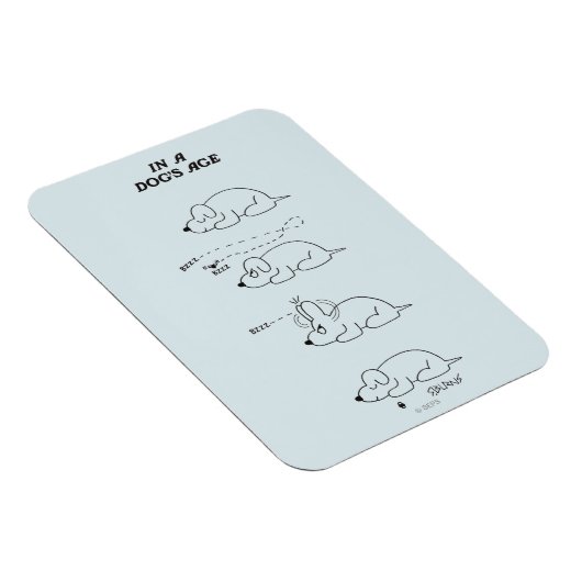 In de leeftijd van een hond magneet (Rechterzijde)