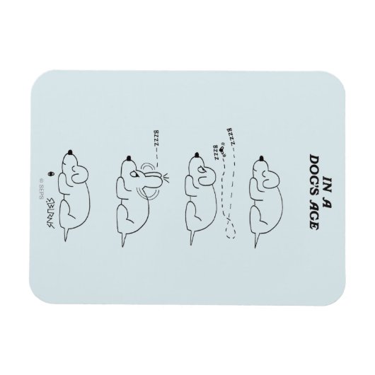 In de leeftijd van een hond magneet (Horizontaal)