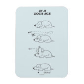 In de leeftijd van een hond magneet (Verticaal)