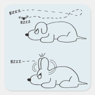 In de leeftijd van een hond vierkante sticker