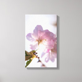 In de lente bloeiende boom canvas afdruk