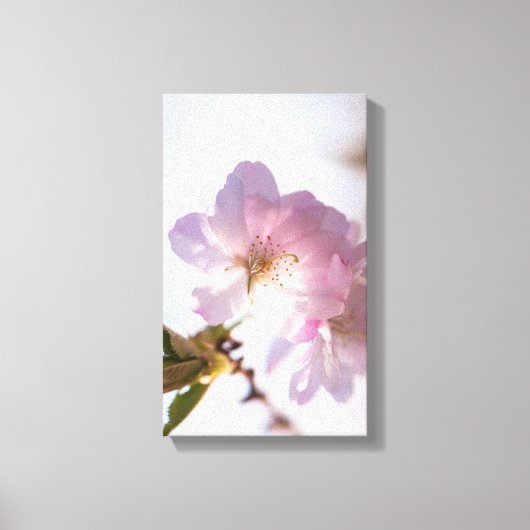 In de lente bloeiende boom canvas afdruk (Voorkant)