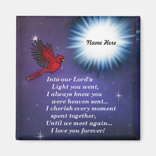 In de lichte kardinaal magneet (Voorkant)