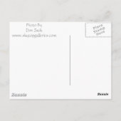 In de lijst briefkaart (Achterkant)