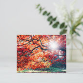 IN DE MAGISCHE KLEUREN VAN HET HERFST BRIEFKAART (Staand voorkant)