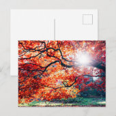 IN DE MAGISCHE KLEUREN VAN HET HERFST BRIEFKAART (Voorkant / Achterkant)