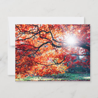 IN DE MAGISCHE KLEUREN VAN HET HERFST BRIEFKAART