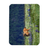 In de Meadow Magneet (Verticaal)