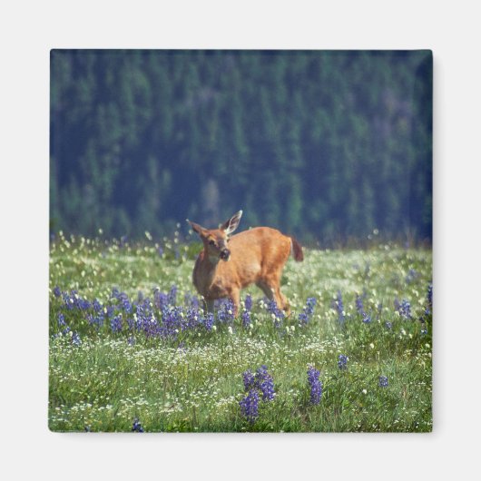In de Meadow Magneet (Voorkant)
