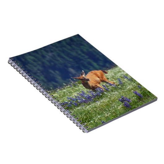 In de Meadow Notitieboek (Rechterzijde)