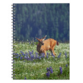In de Meadow Notitieboek (Voorkant)