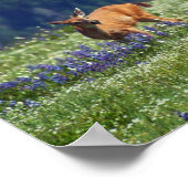 In de Meadow Poster (Hoek)
