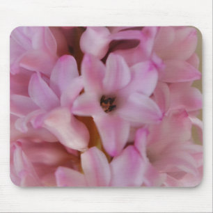  in de Muismat Roze Hyacinth Flowers