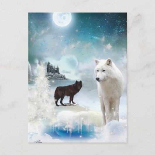 In de Mystic Wild Briefkaart (Voorkant)