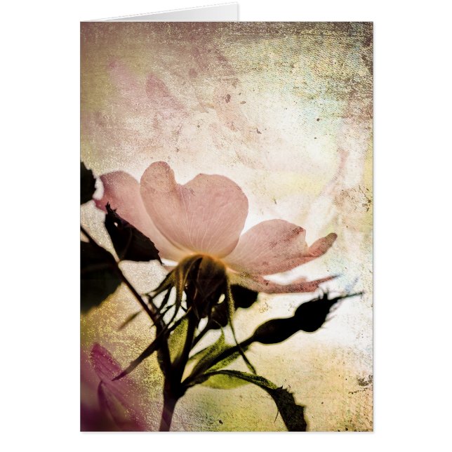 In de mystiek (Voorkant)