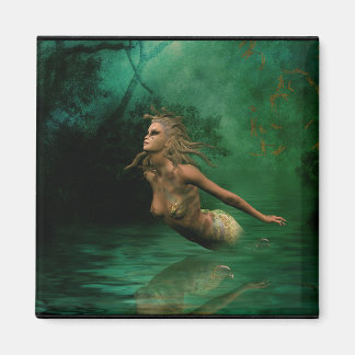 In de Mystik Magneet