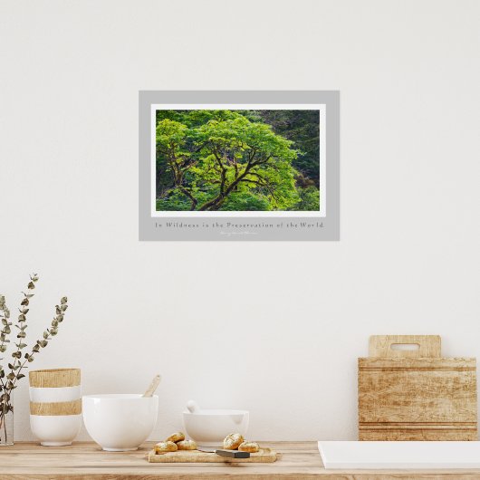 In de natuur is het behoud van de wereld poster (Keuken)