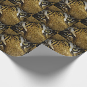 In de ogen van een tijger cadeaupapier