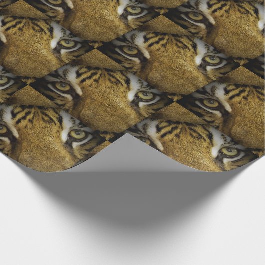 In de ogen van een tijger cadeaupapier (Hoek)
