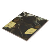 In de ondergrondse wijnkelder: flessen in tegeltje (Zijkant)